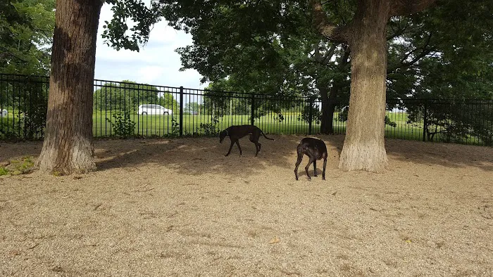 Margate Park Puptown Dog Park 10