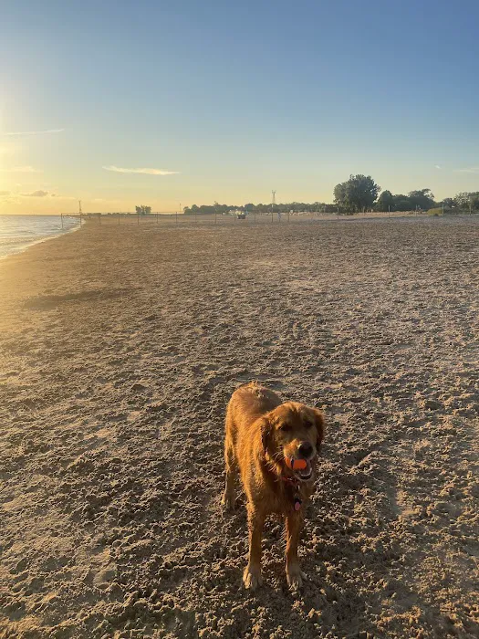 Montrose Dog Park 10
