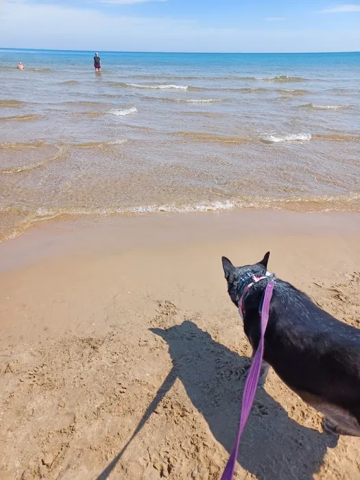 Montrose Dog Park 3