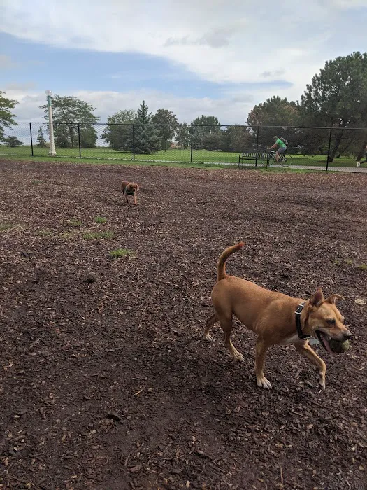 Edgewater Dog Park 6