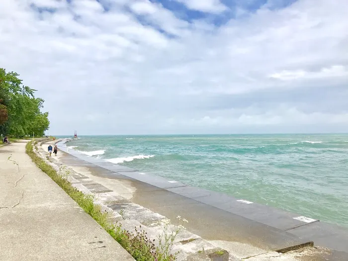 Edgewater Dog Park 5