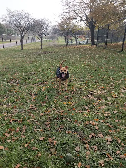 Edgewater Dog Park 7