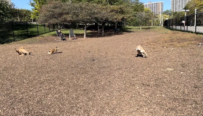 Edgewater Dog Park 2