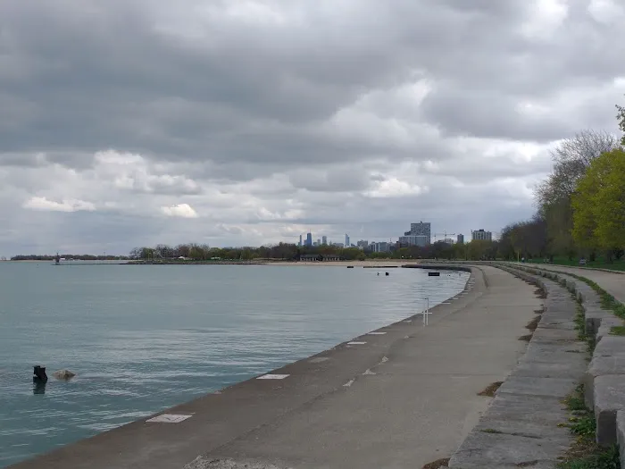 Edgewater Dog Park 8