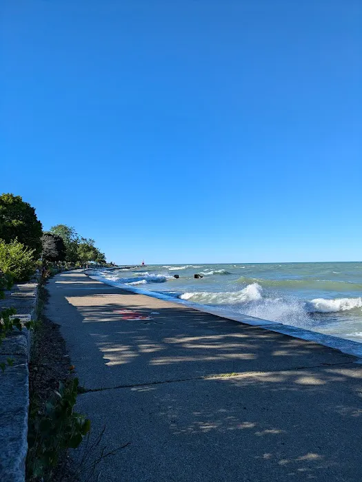 Edgewater Dog Park 3