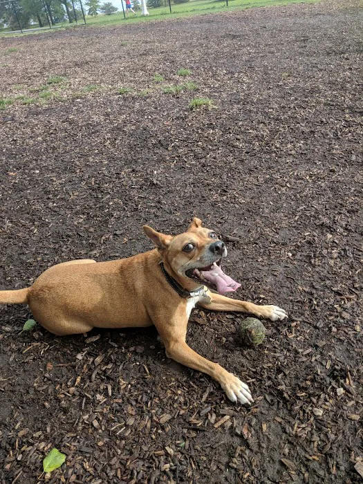 Edgewater Dog Park 1