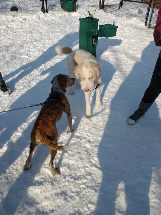River Park Dog Friendly Area 6