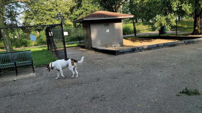 River Park Dog Friendly Area 3