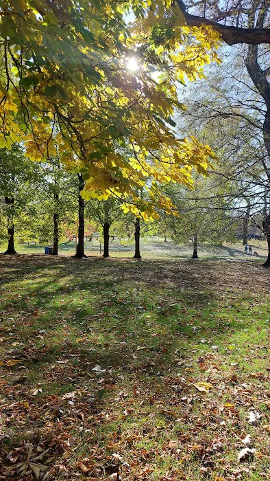 River Park Dog Friendly Area 4