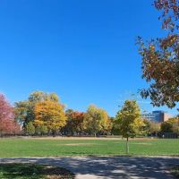 River Park Dog Friendly Area ico