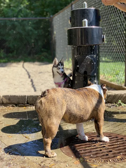 Pottawattomie Park Dog Friendly Area 8