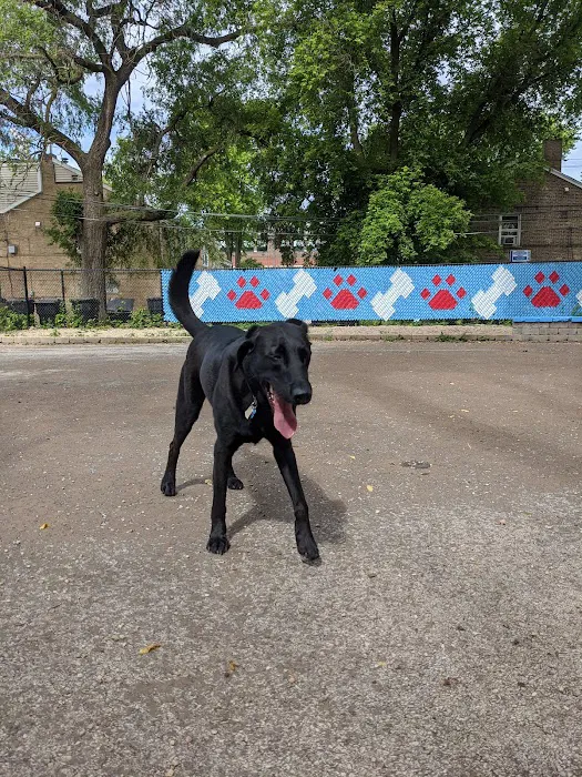 Pottawattomie Park Dog Friendly Area 5