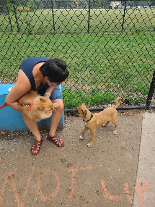 Pottawattomie Park Dog Friendly Area 9