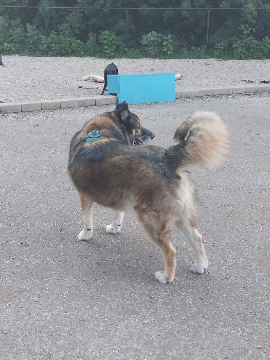 Pottawattomie Park Dog Friendly Area 7