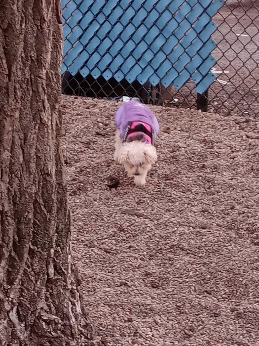 Pottawattomie Park Dog Friendly Area 10