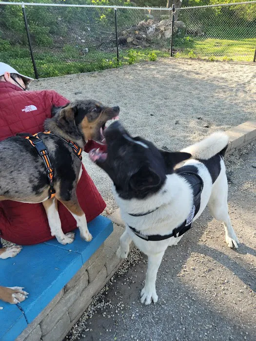 Pottawattomie Park Dog Friendly Area 6