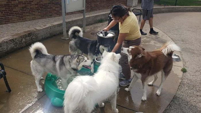 Portage Park Dog Friendly Area 1