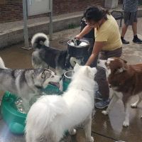 Portage Park Dog Friendly Area ico