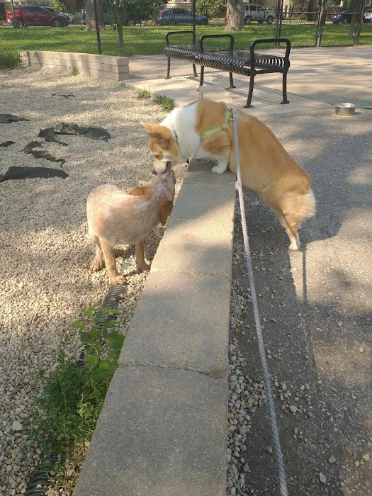 Portage Park Dog Friendly Area 8