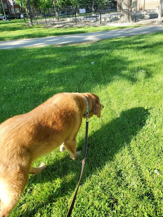 Portage Park Dog Friendly Area 10