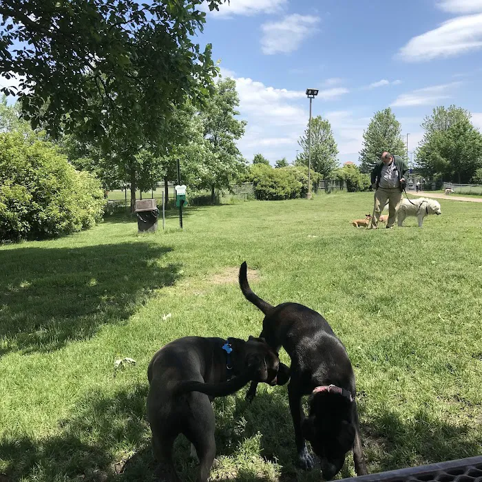 Pooch Park 4