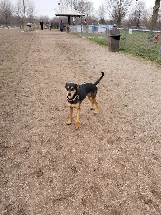 Pooch Park 3