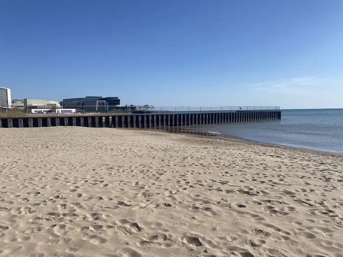 Dog Beach 6