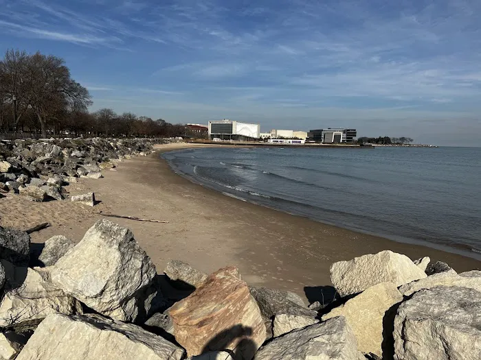 Dog Beach 7