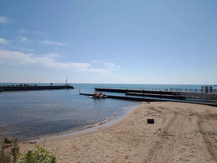 Dog Beach 4