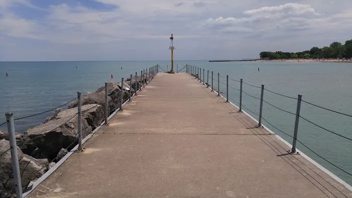 Dog Beach 1