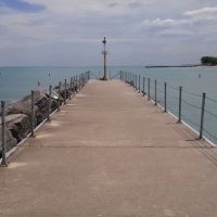 Dog Beach ico