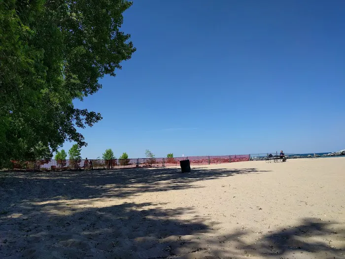 Gillson Park Dog Beach 10