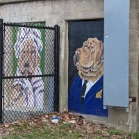 Ridgeland Common Dog Park ico