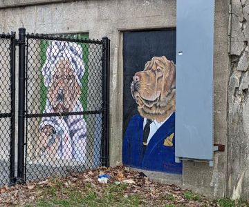 Ridgeland Common Dog Park