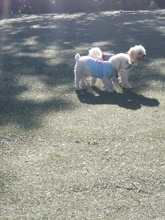 Schiller Park