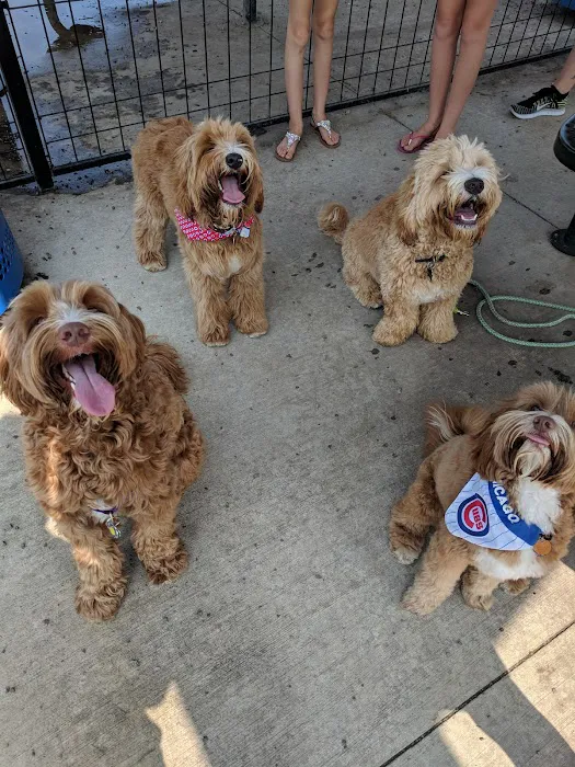 Northbrook Dog Park 4