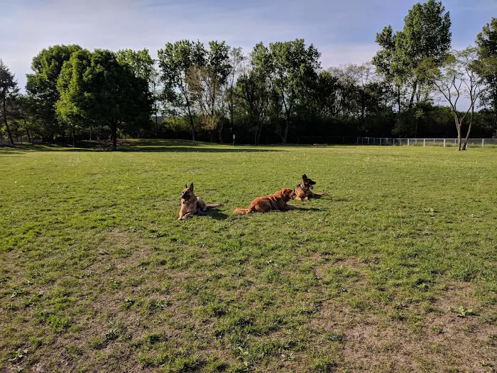 Northbrook Dog Park 9