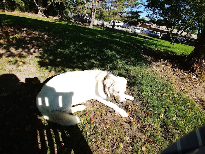 Northbrook Dog Park 1