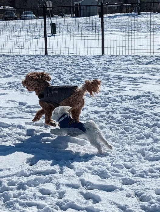 Northbrook Dog Park 2