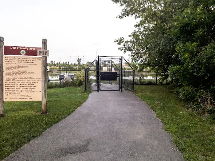 Beck Lake Off-Leash Dog Area 7