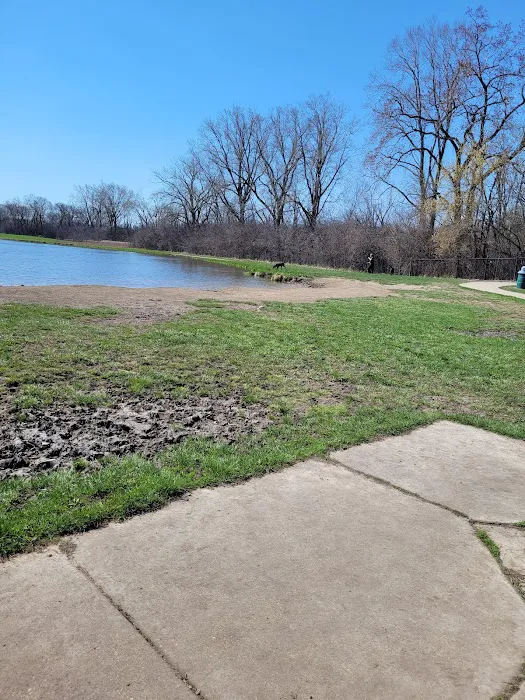 Beck Lake Off-Leash Dog Area 8