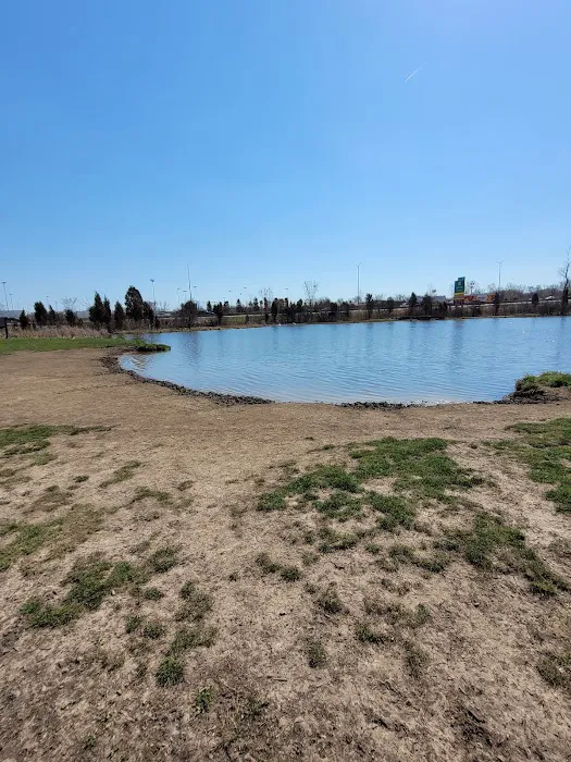 Beck Lake Off-Leash Dog Area 3