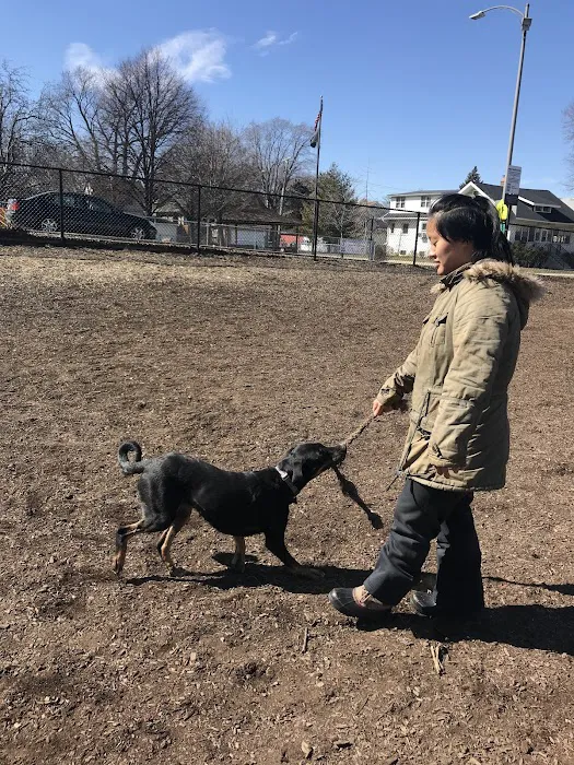 Forest Bark Dog Park 2
