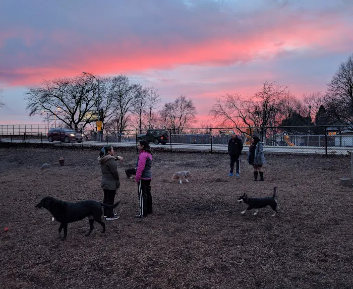 Forest Bark Dog Park 6