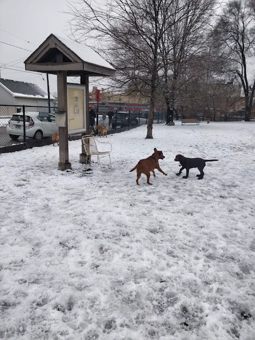 Forest Bark Dog Park 10