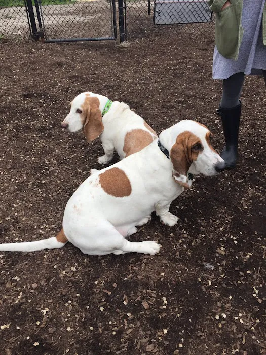 Forest Bark Dog Park 7