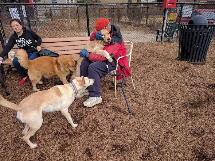 Forest Bark Dog Park 9