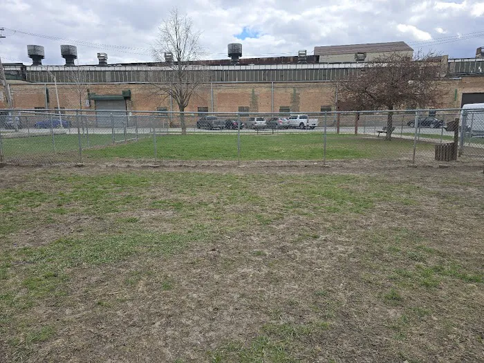Melrose Park Dog Park 3
