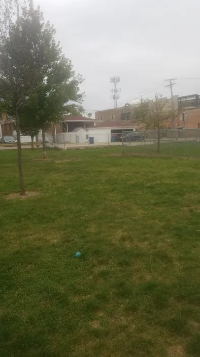 Melrose Park Dog Park 9