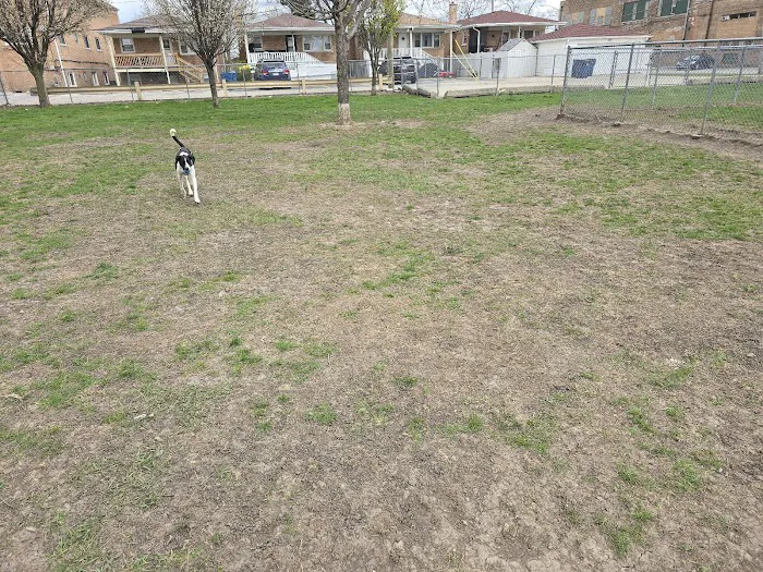 Melrose Park Dog Park 2